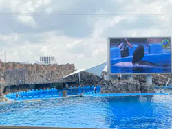 名古屋港水族館に投稿された画像（2026/4/25）