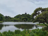 三溪園に投稿された画像（2026/4/25）