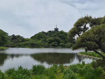 三溪園に投稿された画像（2026/4/25）