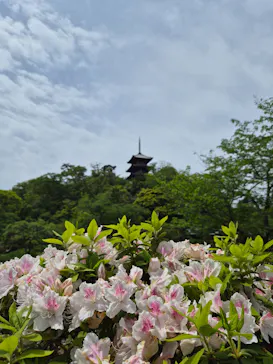 三溪園に投稿された画像（2026/4/25）