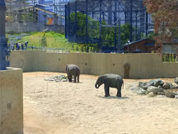 天王寺動物園に投稿された画像（2026/4/25）