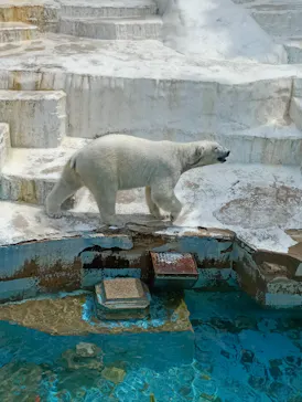 天王寺動物園に投稿された画像（2026/4/25）