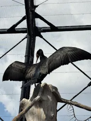 天王寺動物園に投稿された画像（2026/4/25）