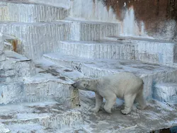 天王寺動物園に投稿された画像（2026/4/25）