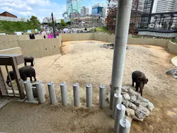 天王寺動物園に投稿された画像（2026/4/25）
