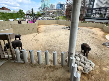 天王寺動物園に投稿された画像（2026/4/25）
