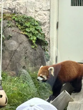 天王寺動物園に投稿された画像（2026/4/25）