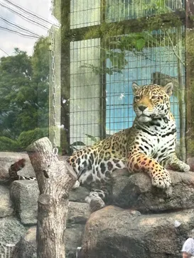 天王寺動物園に投稿された画像（2026/4/25）