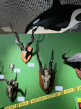 特別展「超危険生物展　科学で挑む生き物の本気」に投稿された画像（2026/4/25）