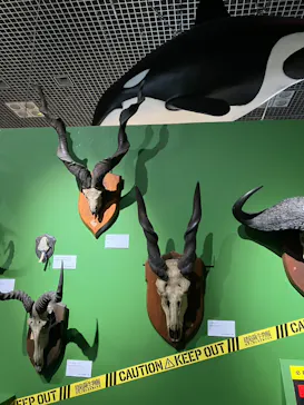 特別展「超危険生物展　科学で挑む生き物の本気」に投稿された画像（2026/4/25）