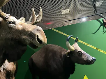 特別展「超危険生物展　科学で挑む生き物の本気」に投稿された画像（2026/4/25）