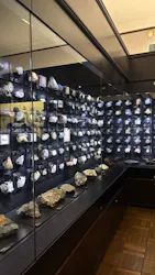 国立科学博物館に投稿された画像（2026/4/25）