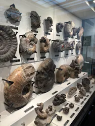 国立科学博物館に投稿された画像（2026/4/25）