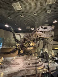 国立科学博物館に投稿された画像（2026/4/25）