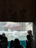 天王寺動物園に投稿された画像（2026/4/25）
