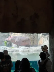天王寺動物園に投稿された画像（2026/4/25）