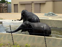 天王寺動物園に投稿された画像（2026/4/25）