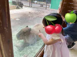 こども動物自然公園（埼玉県公園緑地協会）に投稿された画像（2026/4/25）