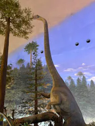 福井県立恐竜博物館に投稿された画像（2026/4/25）