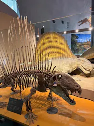 福井県立恐竜博物館に投稿された画像（2026/4/25）