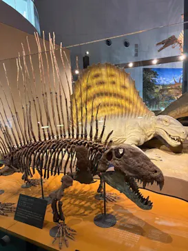 福井県立恐竜博物館に投稿された画像（2026/4/25）