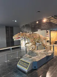 福井県立恐竜博物館に投稿された画像（2026/4/25）