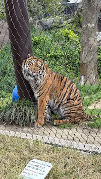 名古屋市東山動植物園に投稿された画像（2026/4/25）