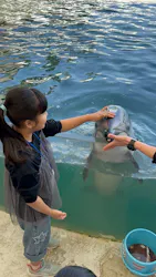 城崎マリンワールドに投稿された画像（2026/4/25）