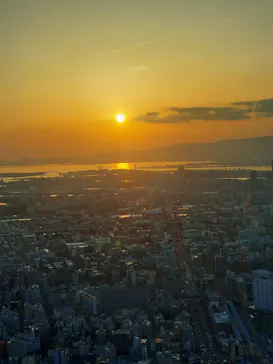 ハルカス300(展望台)に投稿された画像（2026/4/25）