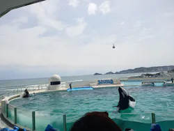 鴨川シーワールドに投稿された画像（2026/4/25）