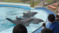 南知多ビーチランド＆南知多おもちゃ王国に投稿された画像（2026/4/25）