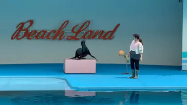 南知多ビーチランド＆南知多おもちゃ王国に投稿された画像（2026/4/25）