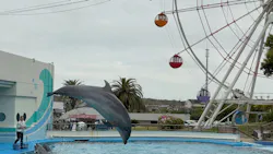 南知多ビーチランド＆南知多おもちゃ王国に投稿された画像（2026/4/25）