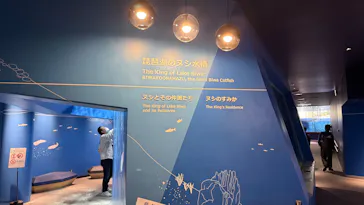 滋賀県立琵琶湖博物館に投稿された画像（2026/4/25）