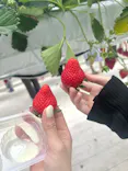 the BERRY YOKOHAMAに投稿された画像（2026/4/25）
