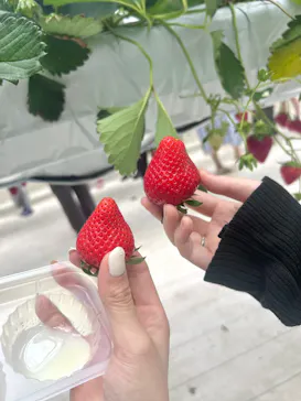 the BERRY YOKOHAMAに投稿された画像（2026/4/25）