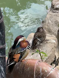 天王寺動物園に投稿された画像（2026/4/25）