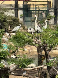 天王寺動物園に投稿された画像（2026/4/25）