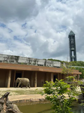 名古屋市東山動植物園に投稿された画像（2026/4/25）