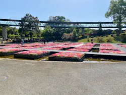 とっとり花回廊に投稿された画像（2026/4/25）