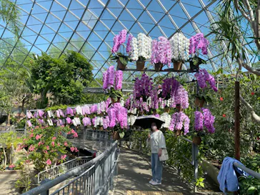 とっとり花回廊に投稿された画像（2026/4/25）