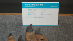 T-REX展～ティラノサウルスの進化～（新潟県立自然科学館）に投稿された画像（2026/4/25）