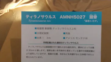 T-REX展～ティラノサウルスの進化～（新潟県立自然科学館）に投稿された画像（2026/4/25）
