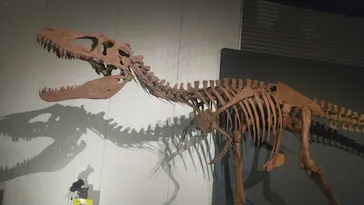 T-REX展～ティラノサウルスの進化～（新潟県立自然科学館）に投稿された画像（2026/4/25）