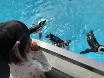 掛川花鳥園に投稿された画像（2026/4/25）
