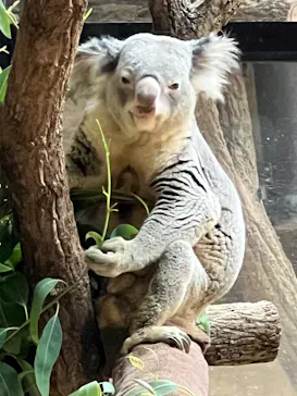 名古屋市東山動植物園に投稿された画像（2026/4/25）