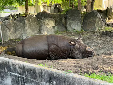 名古屋市東山動植物園に投稿された画像（2026/4/25）