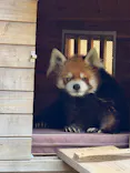 千葉市動物公園に投稿された画像（2026/4/25）