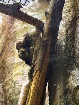 千葉市動物公園に投稿された画像（2026/4/25）