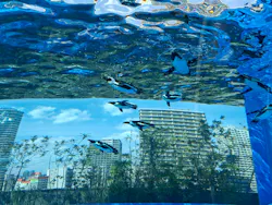 サンシャイン水族館に投稿された画像（2026/4/25）